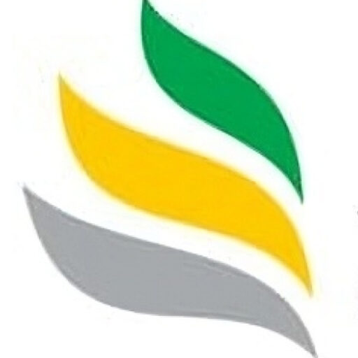 Detronic Comercio e Industria