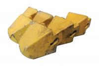 dente5